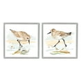 thumbnail image 1 of Stupell Industries Sea Birds on Shore Animals & Insects Painting Gray Framed Art Print Wall Art, 12 x 12, 1 of 10