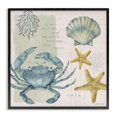 thumbnail image 1 of Stupell Industries Coastal Sea Casts Its Spell Quote Blue Crab Seashells Black Framed Giclee Art, 12 x 12, by Stephanie Workman Marrott, 1 of 7