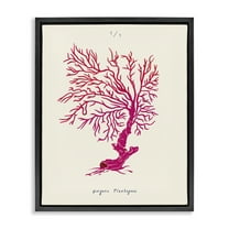 Stupell Industries Sea Fauna Coral Nautical & Beach Painting Black Floater Framed Canvas Art Print Wall Art, 17 x 21