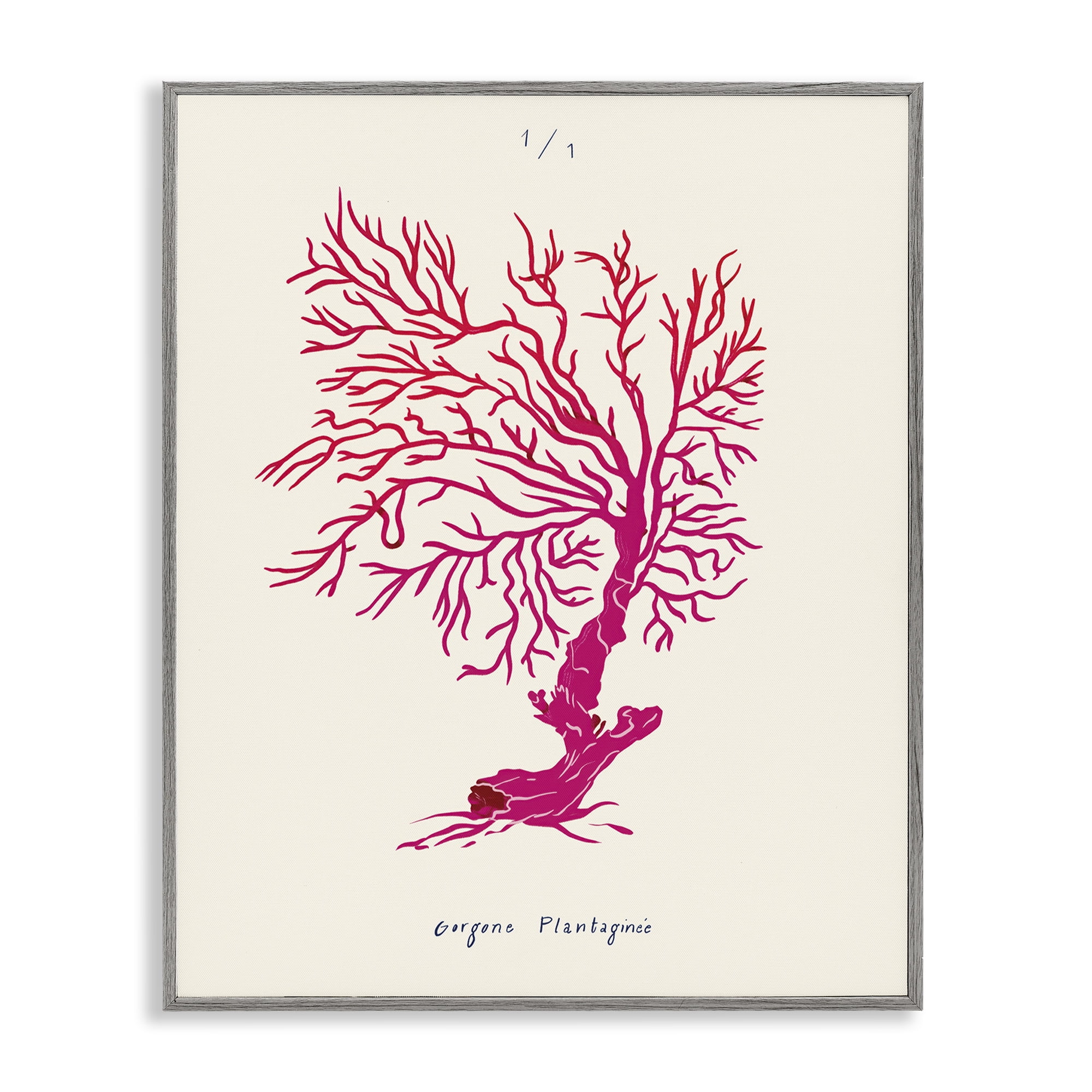 Stupell Industries Sea Fauna Coral Nautical & Beach Painting Gray Framed Art Print Wall Art, 16 x 20