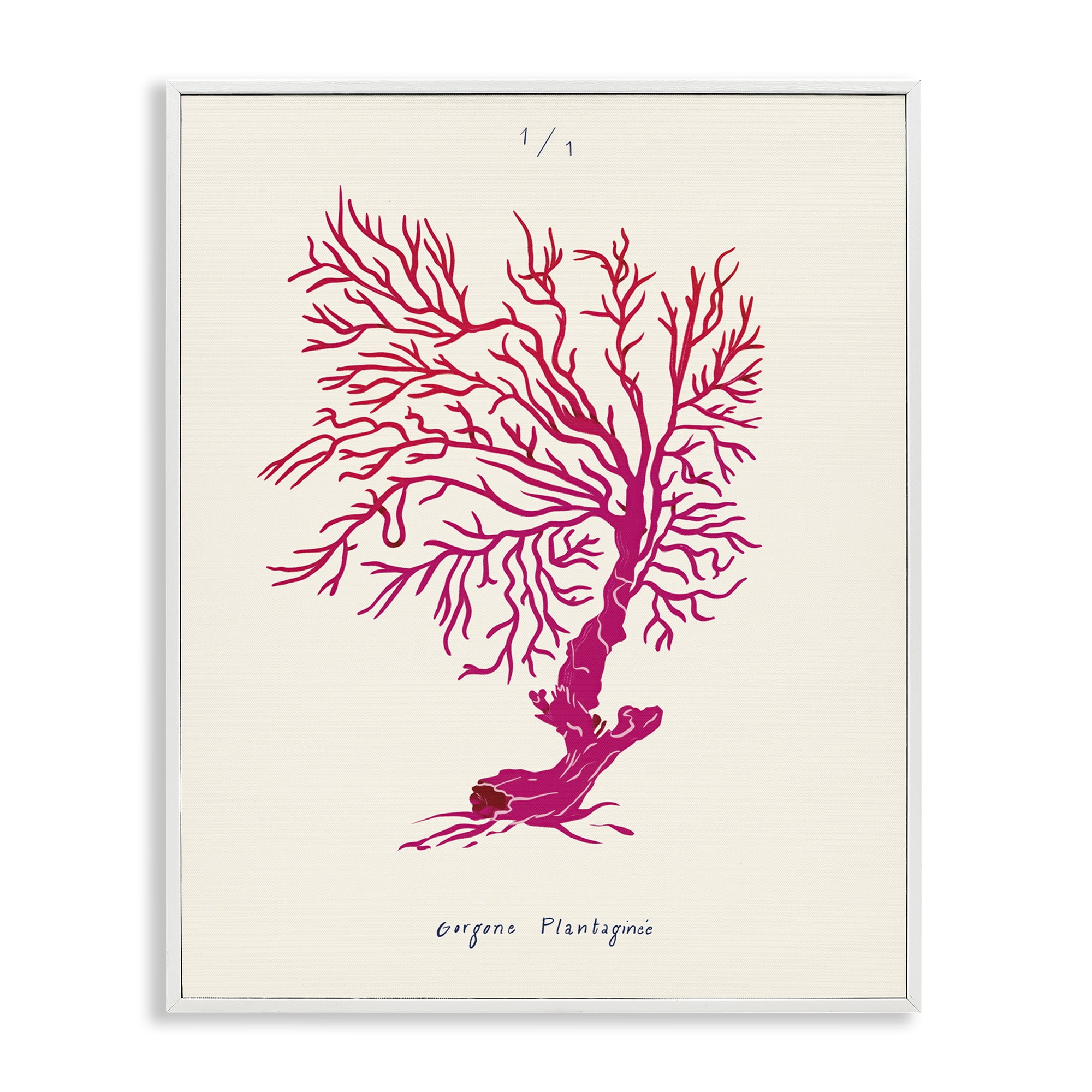 Stupell Industries Sea Fauna Coral Nautical & Beach Painting White Framed Art Print Wall Art, 16 x 20