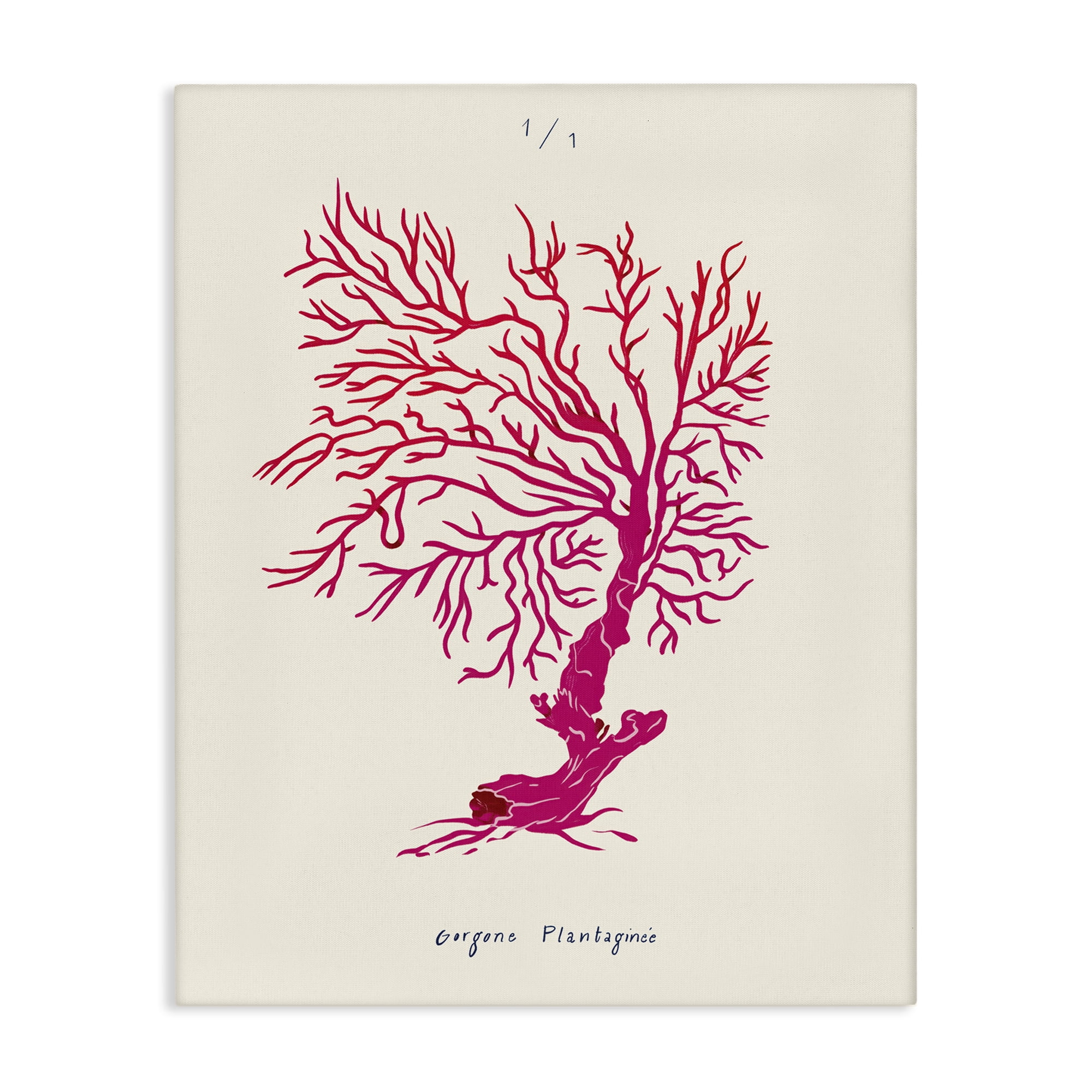 Stupell Industries Sea Fauna Coral Nautical & Beach Painting Wrapped Canvas Art Print Wall Art, 30 x 40