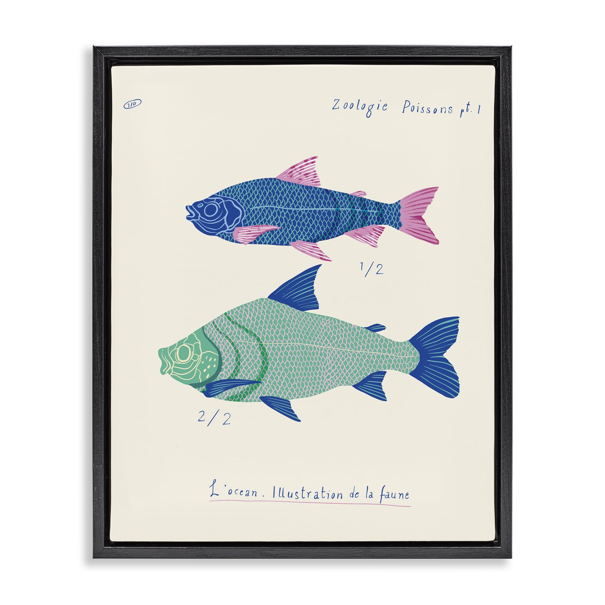 Stupell Industries Sea Fauna Studies Nautical & Beach Painting Black Floater Framed Canvas Art Print Wall Art, 17 x 21