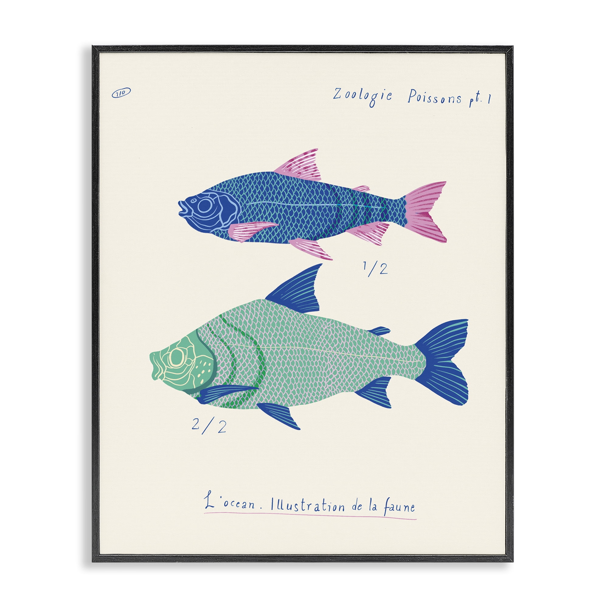 Stupell Industries Sea Fauna Studies Nautical & Beach Painting Black Framed Art Print Wall Art, 16 x 20