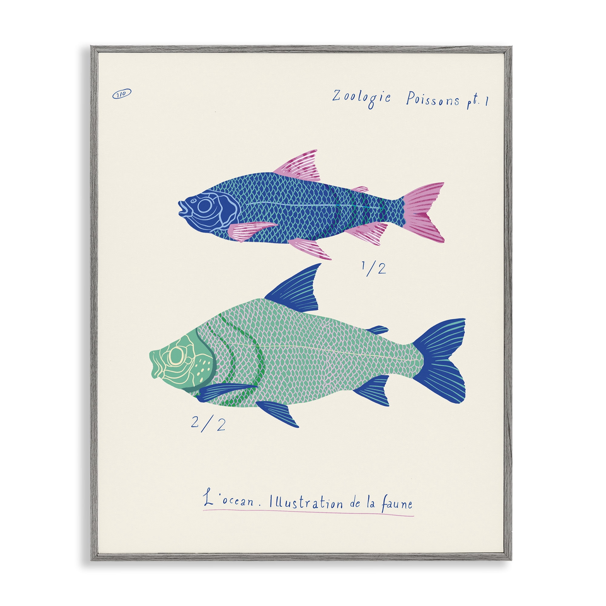 Stupell Industries Sea Fauna Studies Nautical & Beach Painting Gray Framed Art Print Wall Art, 16 x 20