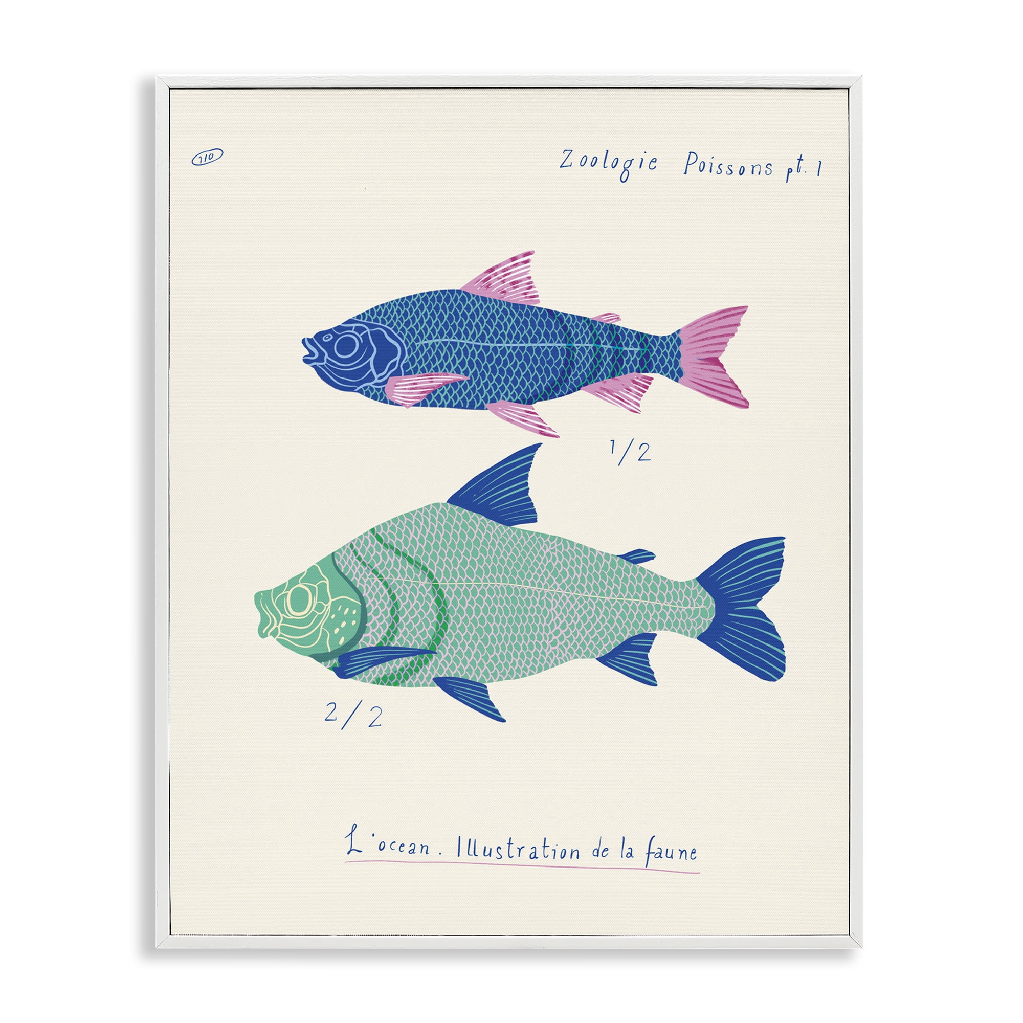 Stupell Industries Sea Fauna Studies Nautical & Beach Painting White Framed Art Print Wall Art, 16 x 20