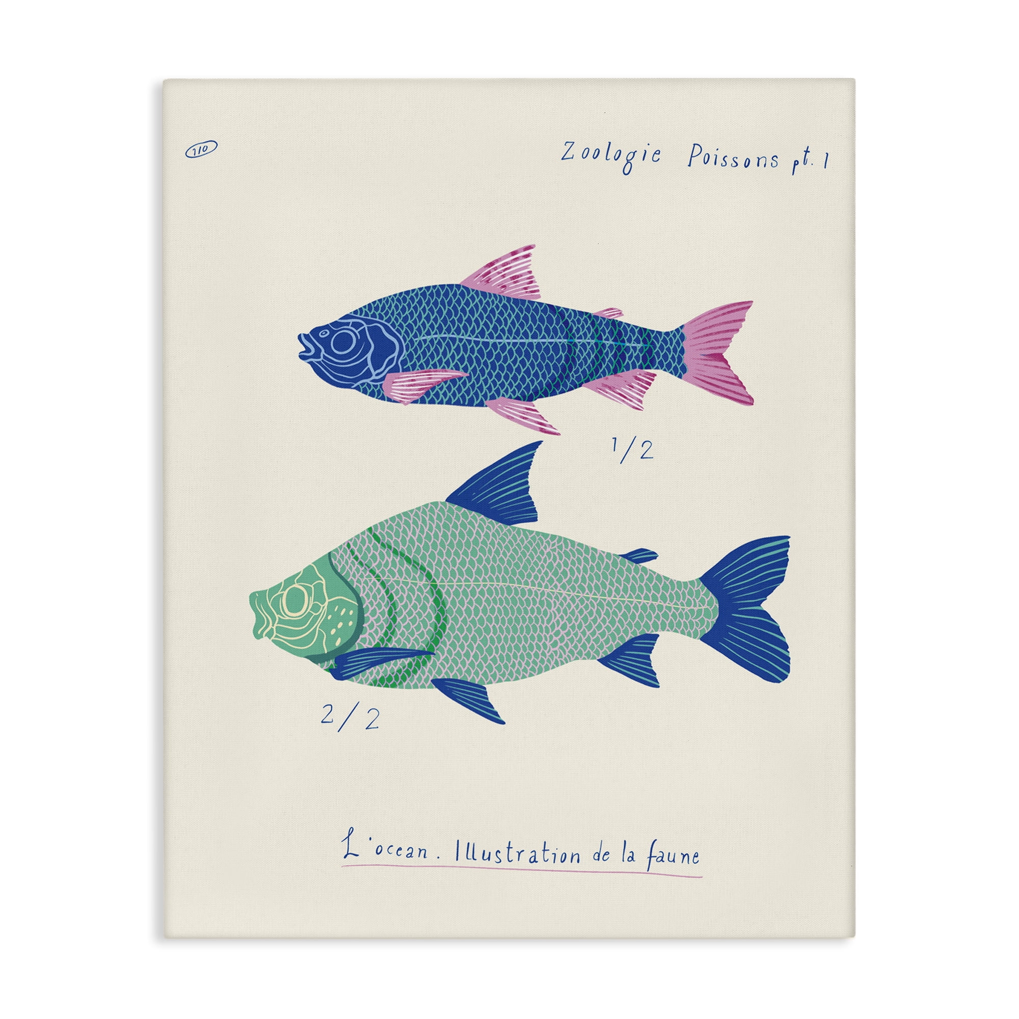 Stupell Industries Sea Fauna Studies Nautical & Beach Painting Wrapped Canvas Art Print Wall Art, 24 x 30
