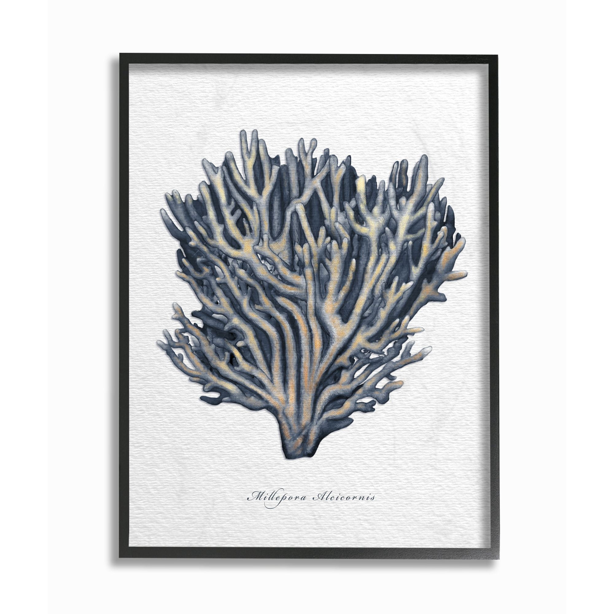 Stupell Industries Sea Life Coral Watercolor Painting Framed Wall Art by Ziwei Li