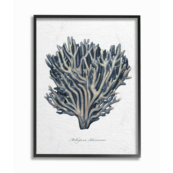 Stupell Industries Sea Life Coral Watercolor Painting Framed Wall Art by Ziwei Li