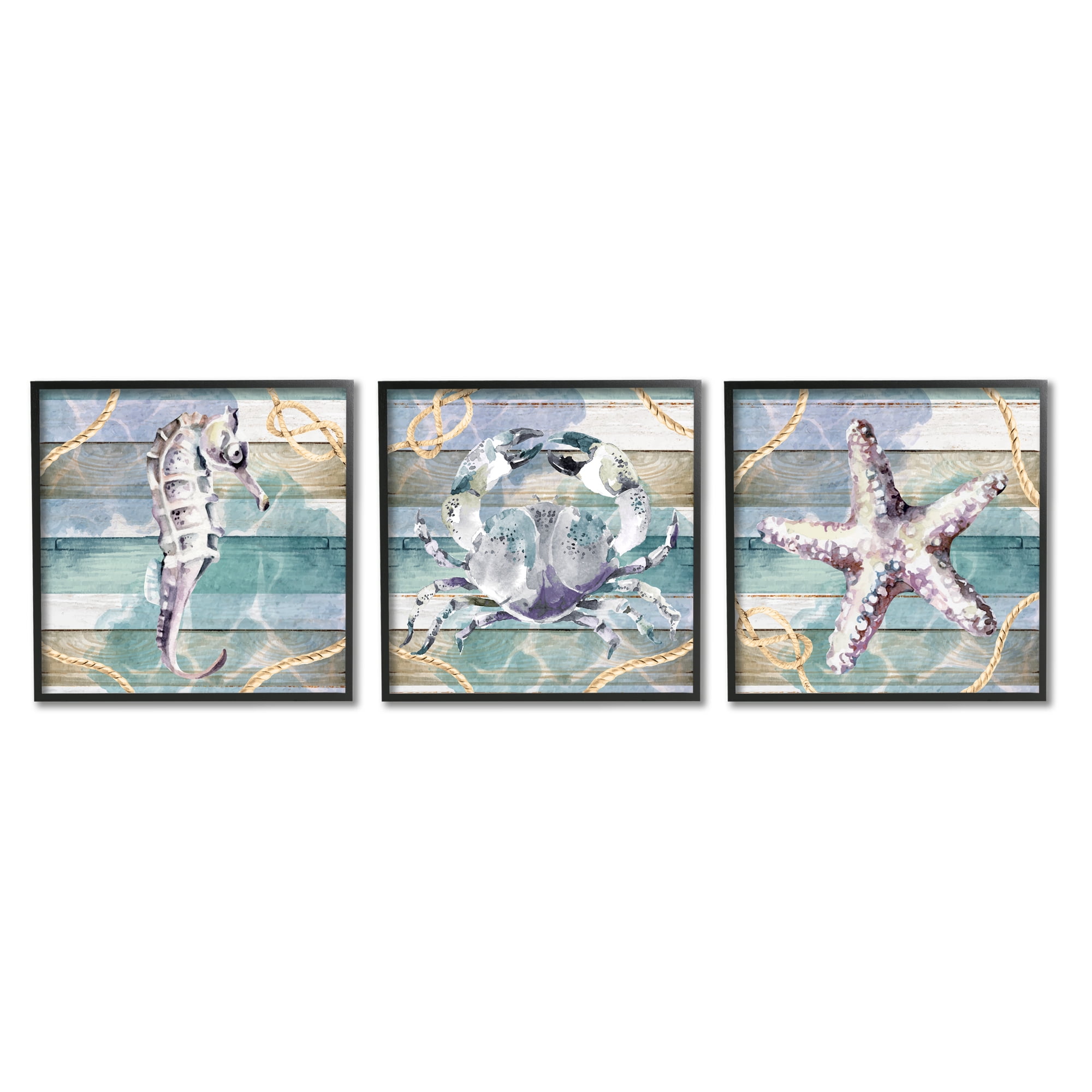 Stupell Industries Sea Life Plank Pattern Animals & Insects Painting Black Framed Art Print Wall Art, 12 x 12, Set of 3