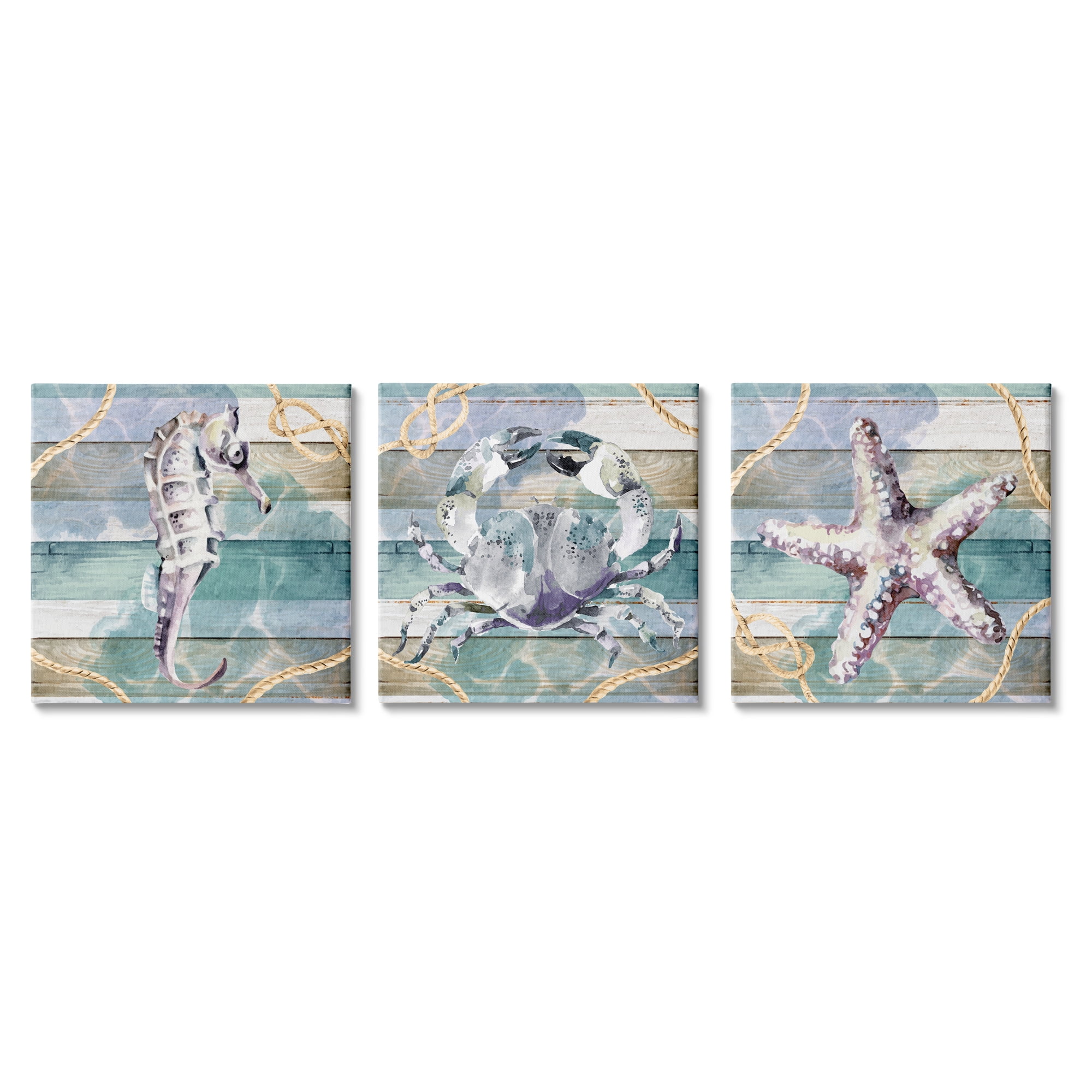 Stupell Industries Sea Life Plank Pattern Animals & Insects Painting Gallery Wrapped Canvas Print Wall Art, 17 x 17, Set of 3