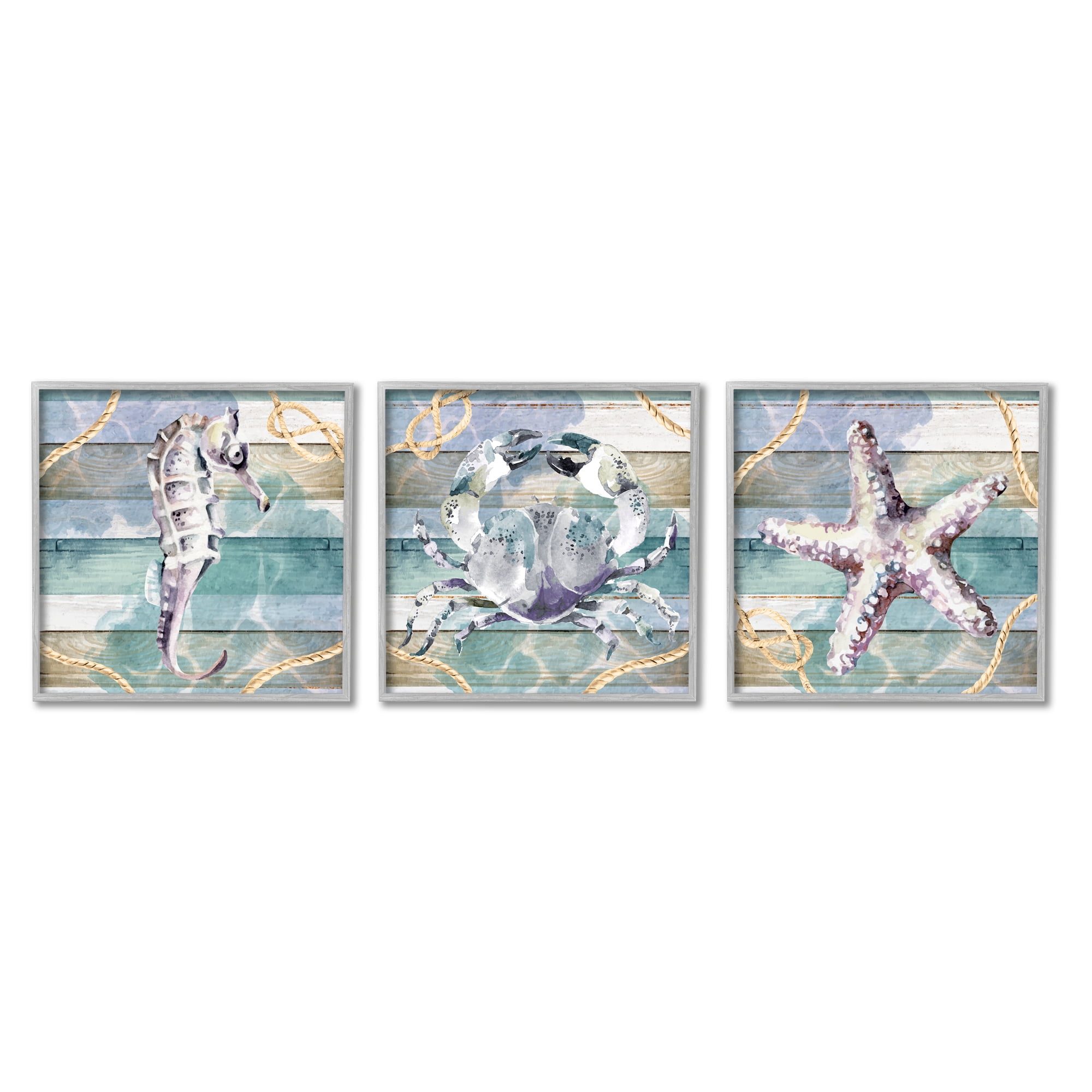 Stupell Industries Sea Life Plank Pattern Animals & Insects Painting Gray Framed Art Print Wall Art, 12 x 12, Set of 3