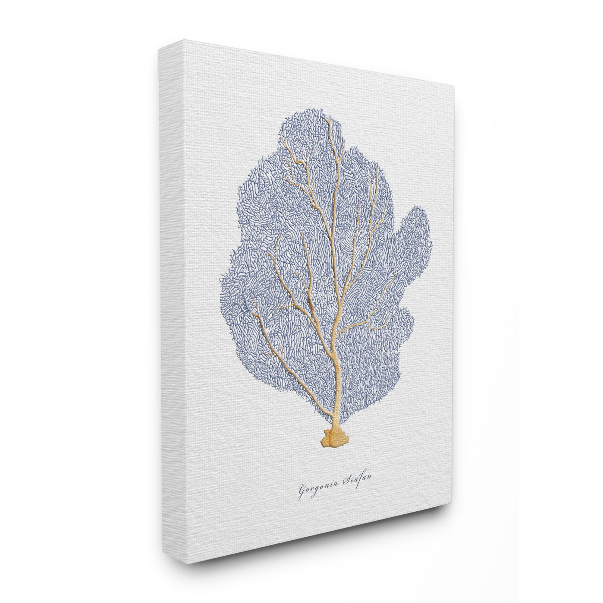Stupell Industries Sea Life Seafan Watercolor Painting Canvas Wall Art by Ziwei Li