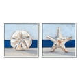thumbnail image 1 of Stupell Industries Sea Life Starfish Seashell Painting Beach Marine Animal, 12 x 12, Design by Ethan Harper, 1 of 6