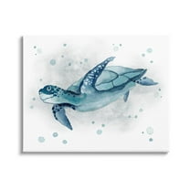 Stupell Industries Sea Life Tortoise Splash Graphic Art Gallery Wrapped Canvas Print Wall Art, Design by Janet Tava
