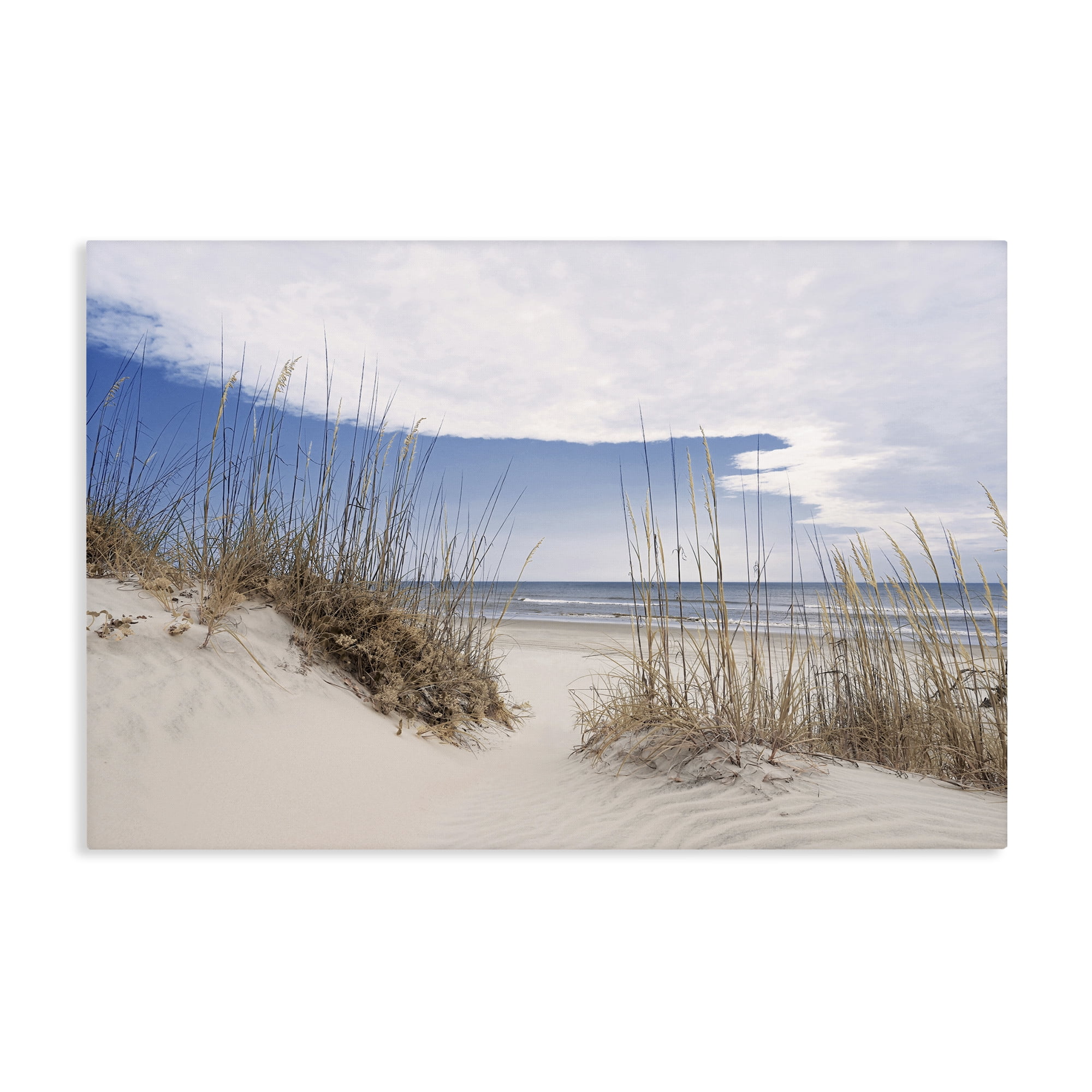 Stupell Industries Sea Oats Along Sandy Dunes Canvas Wall Art, design by Natalie Carpentieri