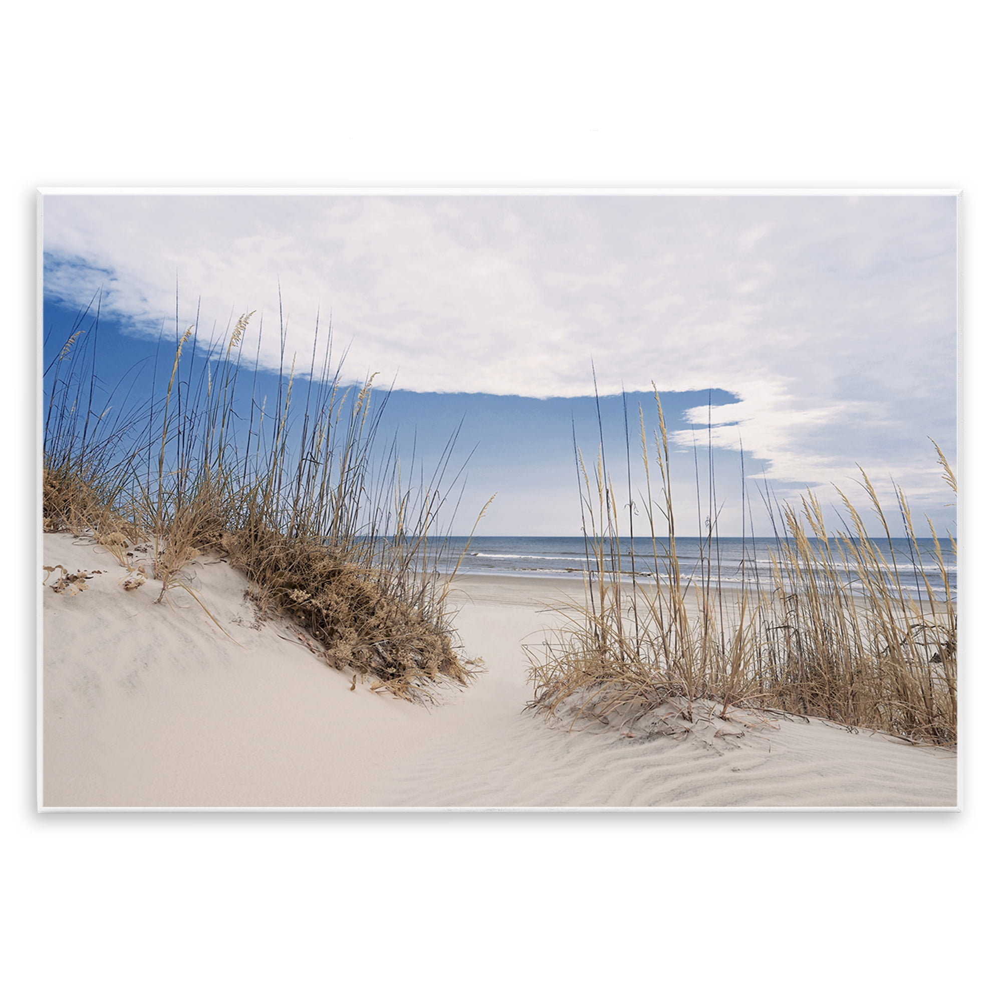 Stupell Industries Sea Oats Along Sandy Dunes Wall Plaque Art, design by Natalie Carpentieri