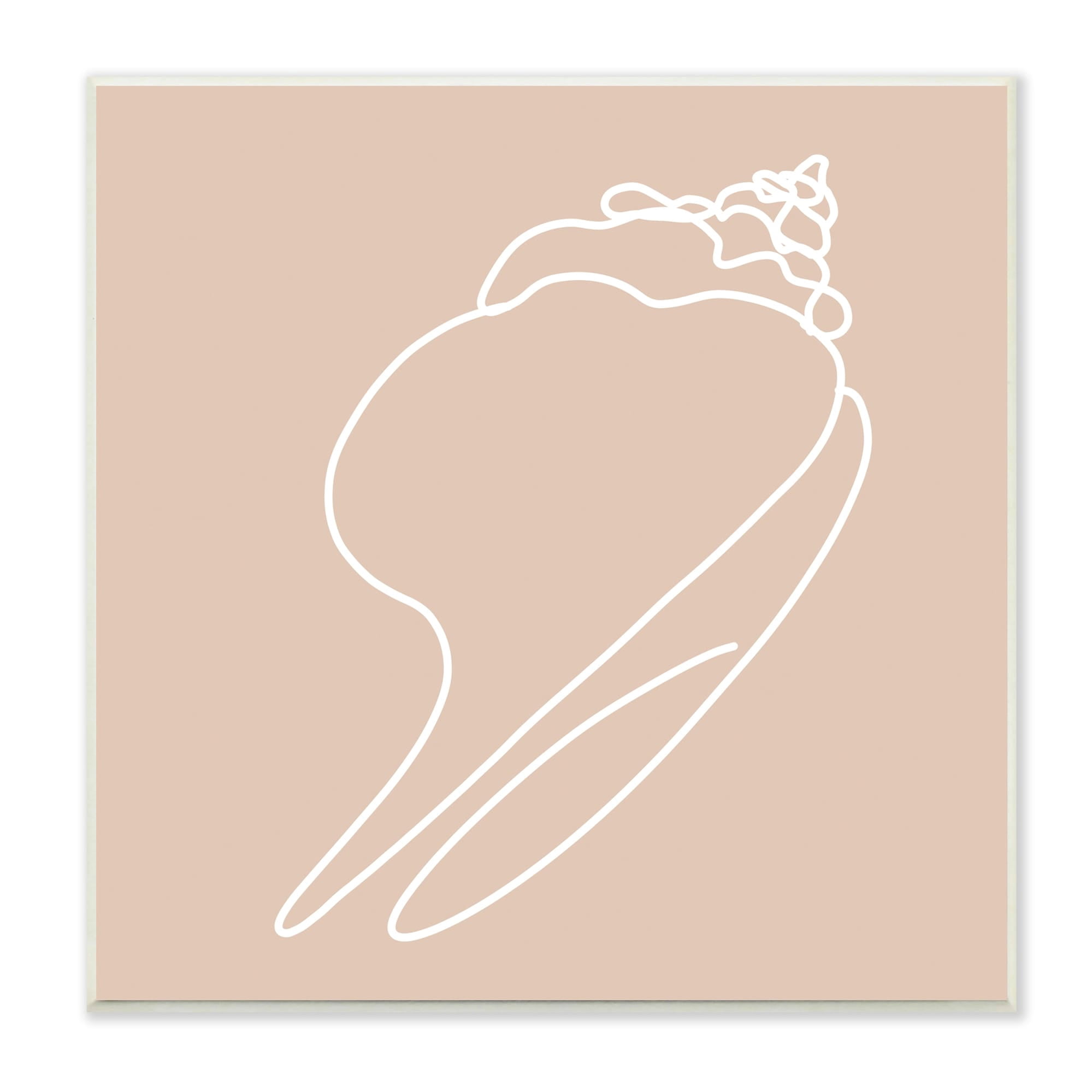 Stupell Industries Sea Shell Beach Ocean Life Line Drawing Graphic Art Unframed Art Print Wall Art, Design by Daphne Polselli