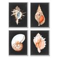 thumbnail image 1 of Stupell Industries Sea Shell Clam Conch Collection Realistic Illustration ,16 x 20, Design by Michael Willett, 1 of 7