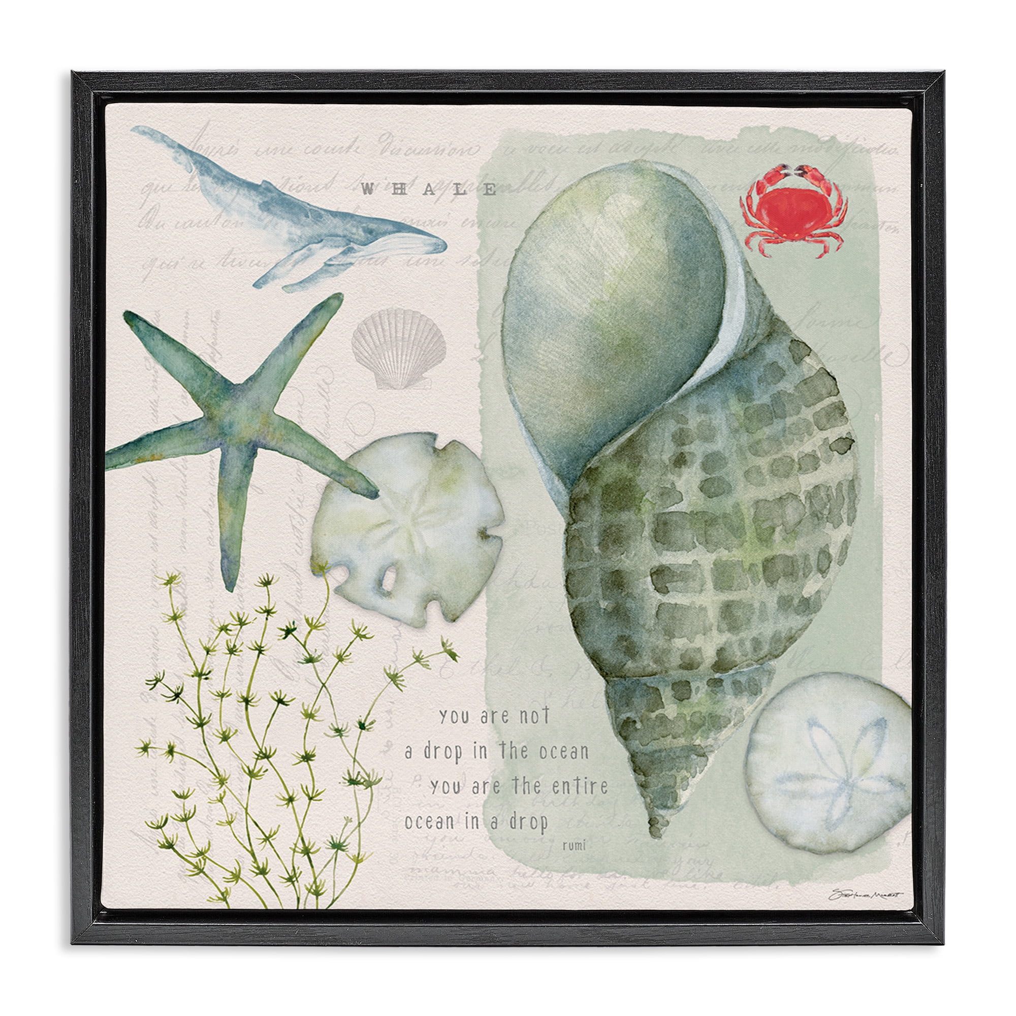 Stupell Industries Sea Shell Inspirational Collage Inspirational Painting Black Floater Framed Canvas Art Print Wall Art, 25 x 25