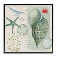 Stupell Industries Sea Shell Inspirational Collage Inspirational