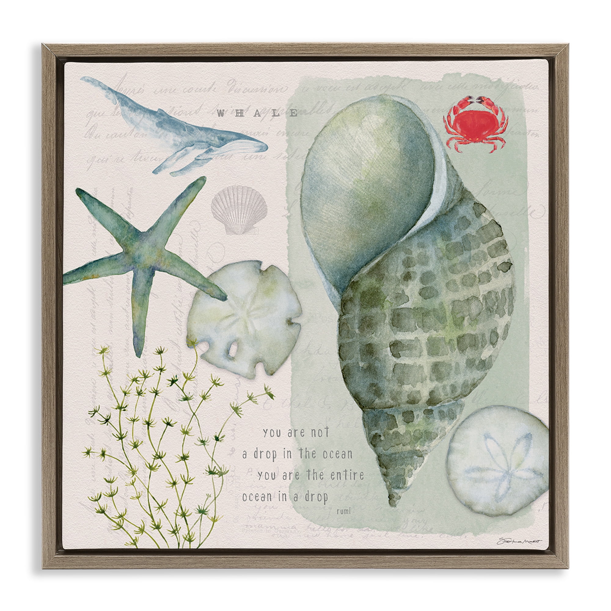 Stupell Industries Sea Shell Inspirational Collage Inspirational Painting Brown Floater Framed Canvas Art Print Wall Art, 18 x 18