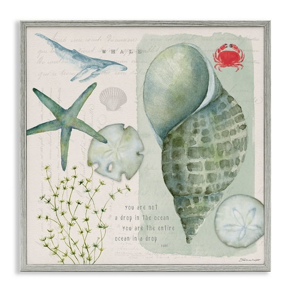Stupell Industries Sea Shell Inspirational Collage Inspirational Painting Gray Framed Art Print Wall Art, 24 x 24