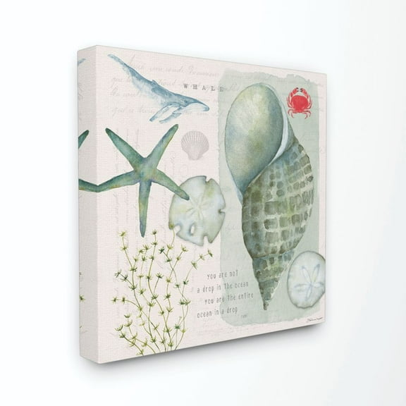 Stupell Industries Sea Shell Inspirational Word Beach Coast Drawing Canvas Wall Art by Stephanie Workman Marrott