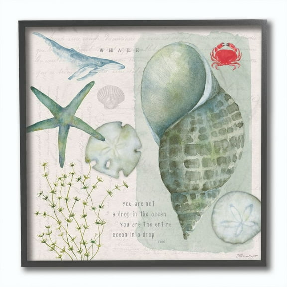 Stupell Industries Sea Shell Inspirational Word Beach Coast Drawing Framed Giclee Texturized Art by Stephanie Workman Marrott