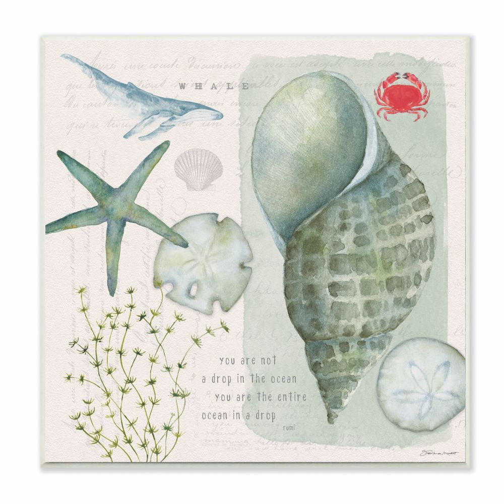 Stupell Industries Sea Shell Inspirational Word Beach Coast Drawing Wall Plaque Art by Stephanie Workman Marrott