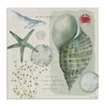 thumbnail image 1 of Stupell Industries Sea Shell Inspirational Word Beach Coast Drawing XL Canvas Wall Art by Stephanie Workman Marrott, 1 of 3