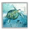 thumbnail image 1 of Stupell Industries Sea Tortoise and Fish over Blue Nautical Ocean Map, 24 x 24, Design by Carol Robinson, 1 of 7