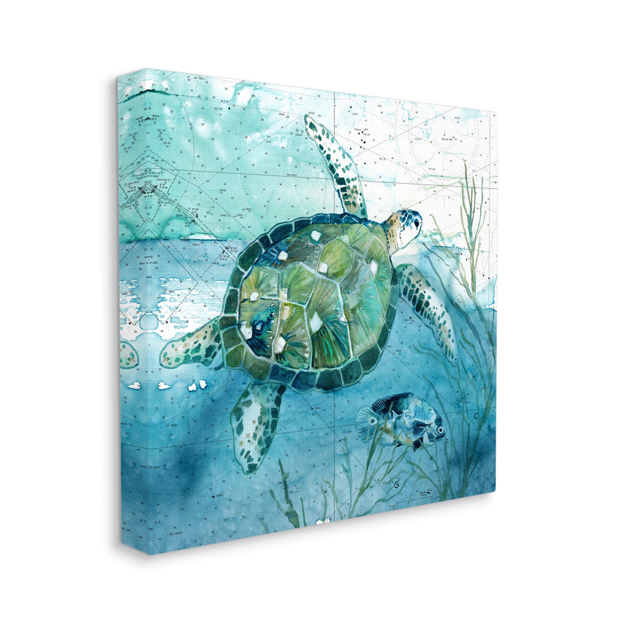Stupell Industries Sea Tortoise and Fish over Blue Nautical Ocean Map Animals & Insects Painting Gallery Wrapped Canvas Print Wall Art, 36 x 36