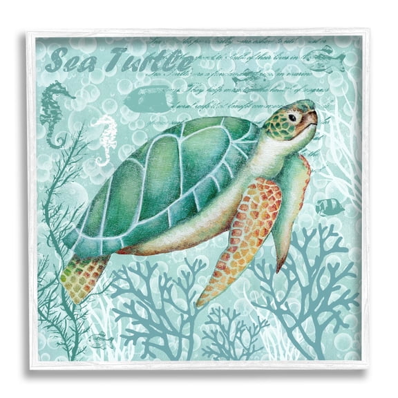 Stupell Industries Sea Turtle Detailed Coral Silhouettes Fancy Script Graphic Art White Framed Art Print Wall Art, Design by Emma Leach