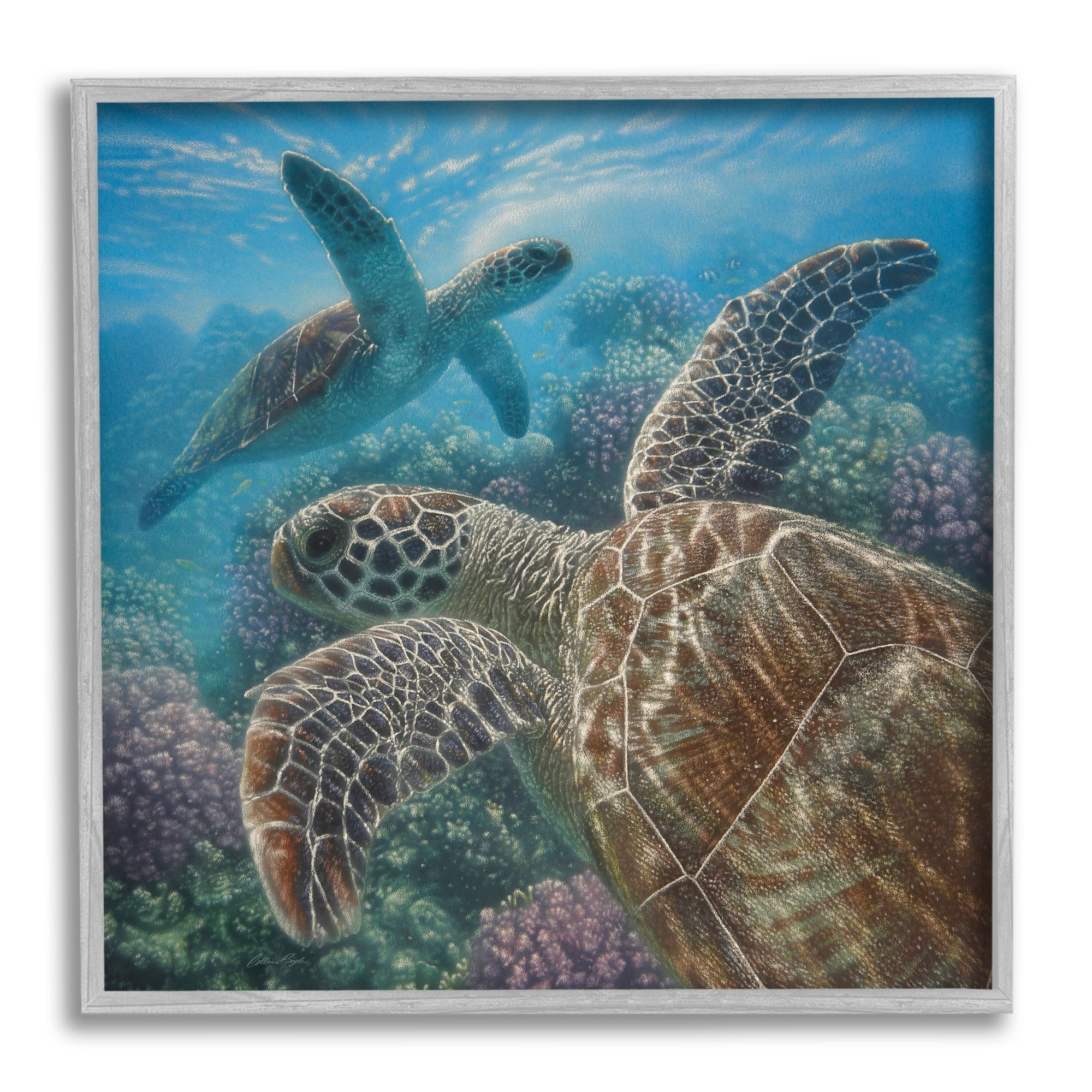 Gray Framed Sea Turtle Coral Reef Ocean Life Wall Art