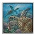thumbnail image 1 of Stupell Industries Sea Turtle Pair Coral Reef Ocean Life Scene, 12 x 12, Design by Collin Bogle, 1 of 7