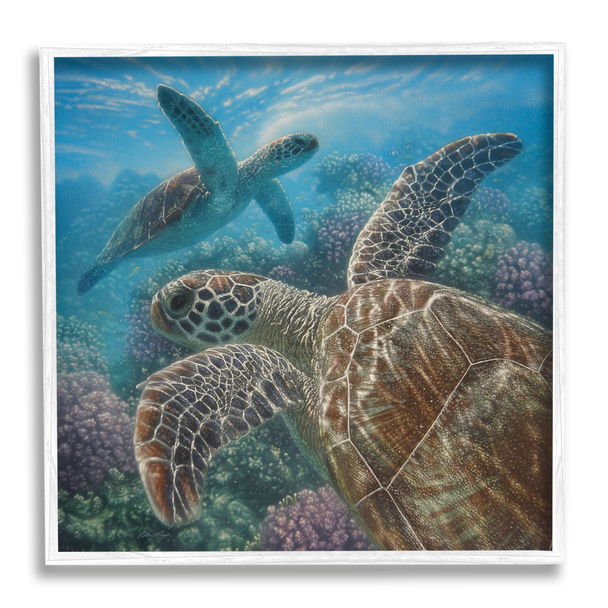 White Framed Sea Turtle Pair Coral Reef Canvas Wall Art, 12 x 12