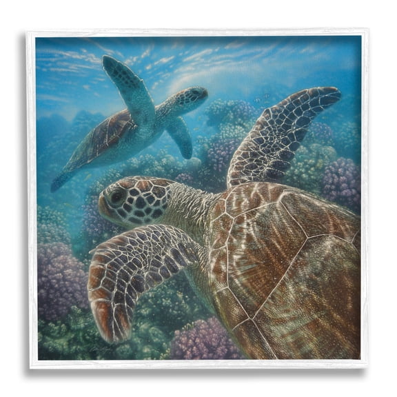 Stupell Industries Sea Turtle Pair Coral Reef Ocean Life Scene, 12 x 12, Design by Collin Bogle