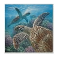 thumbnail image 1 of Stupell Industries Sea Turtle Pair Coral Reef Ocean Life Scene, 12 x 12, Design by Collin Bogle, 1 of 4