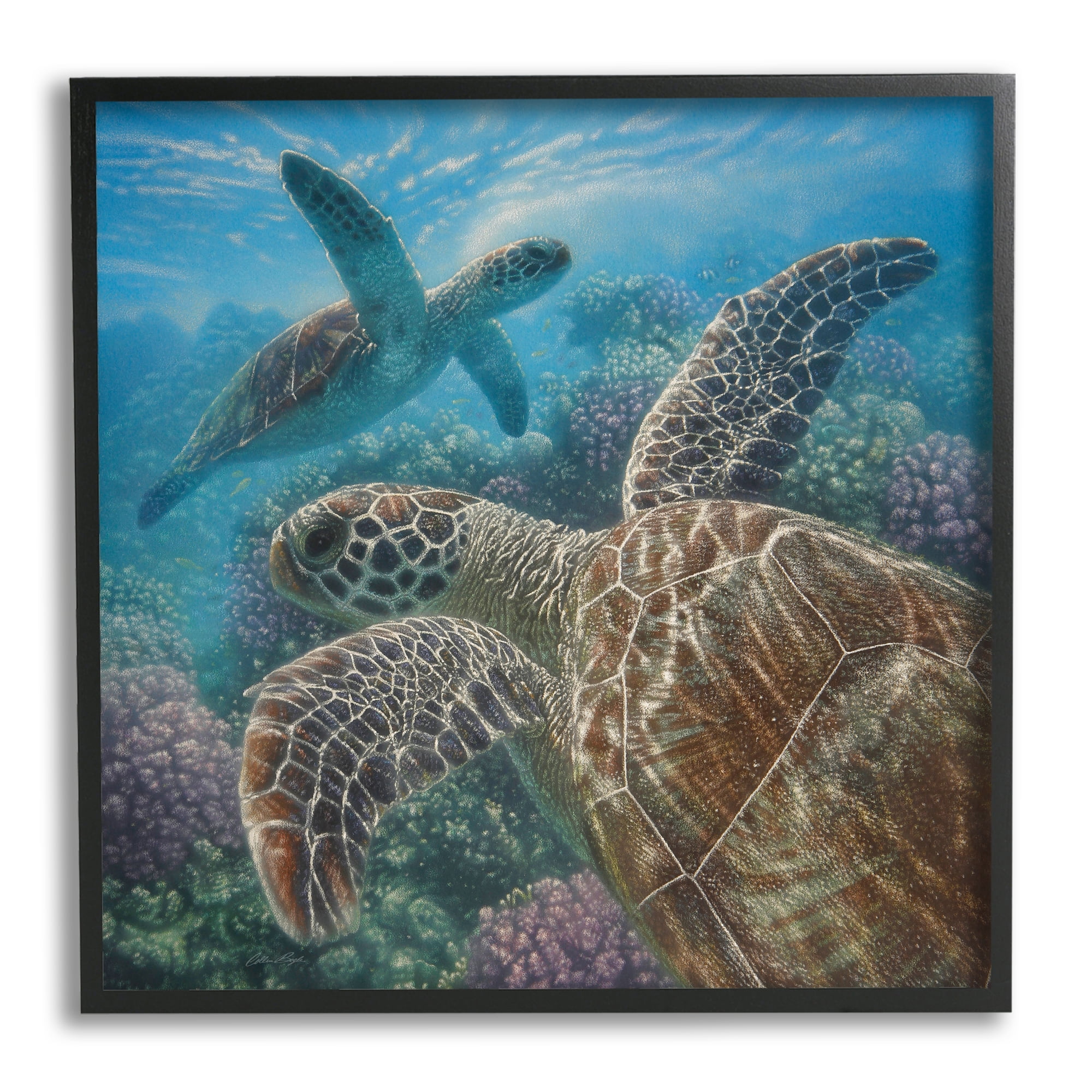 Stupell Industries Sea Turtle Pair Coral Reef Ocean Life Scene, 12 x 12, Design by Collin Bogle