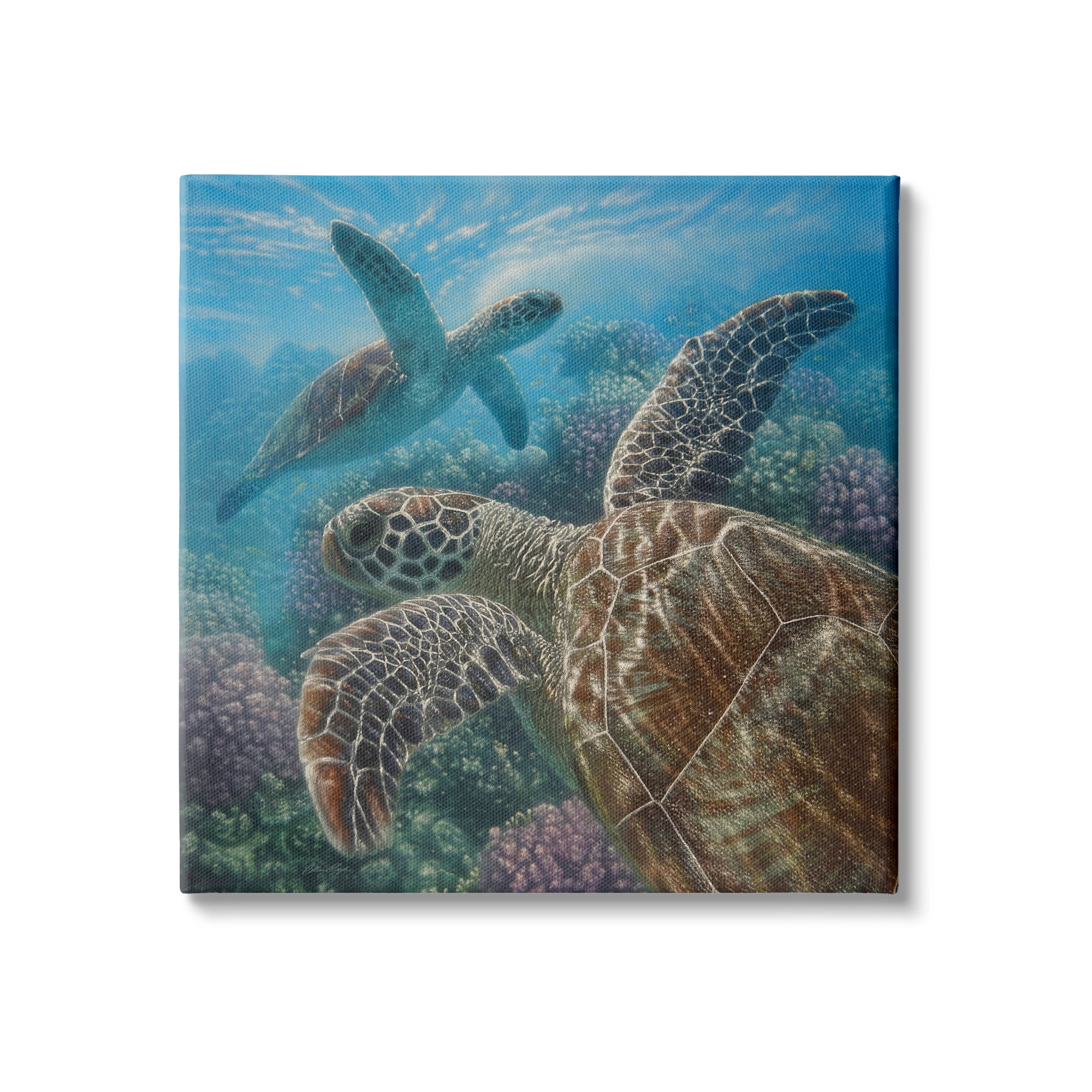 Sea Turtle Pair Coral Reef Ocean Life Canvas Wall Art