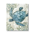 thumbnail image 1 of Stupell Industries Sea Turtle Swimming Playa Sealife Graphic Art Gallery Wrapped Canvas Print Wall Art, Design by Paul Brent, 1 of 7