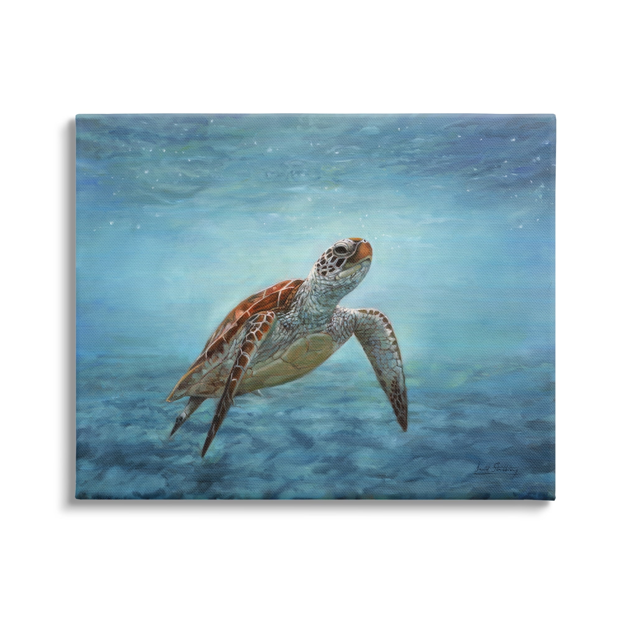 Stupell Industries Sea Turtle Underwater Marine Scene Deep Ocean Water Painting Gallery Wrapped Canvas Print Wall Art, Design by David Stribbling