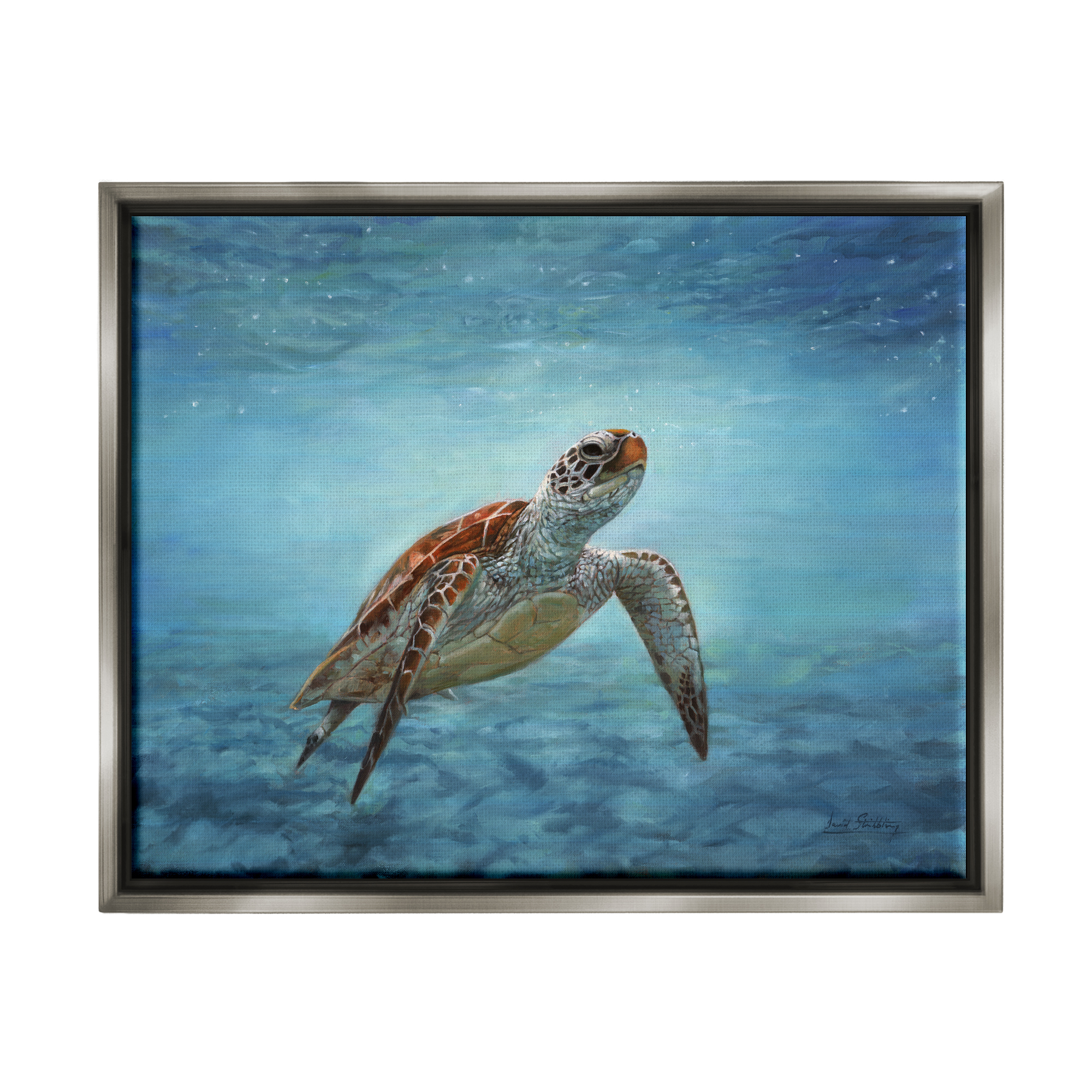 Stupell Industries Sea Turtle Underwater Marine Scene Deep Ocean Water Painting Luster Gray Floating Framed Canvas Print Wall Art, Design by David Stribbling