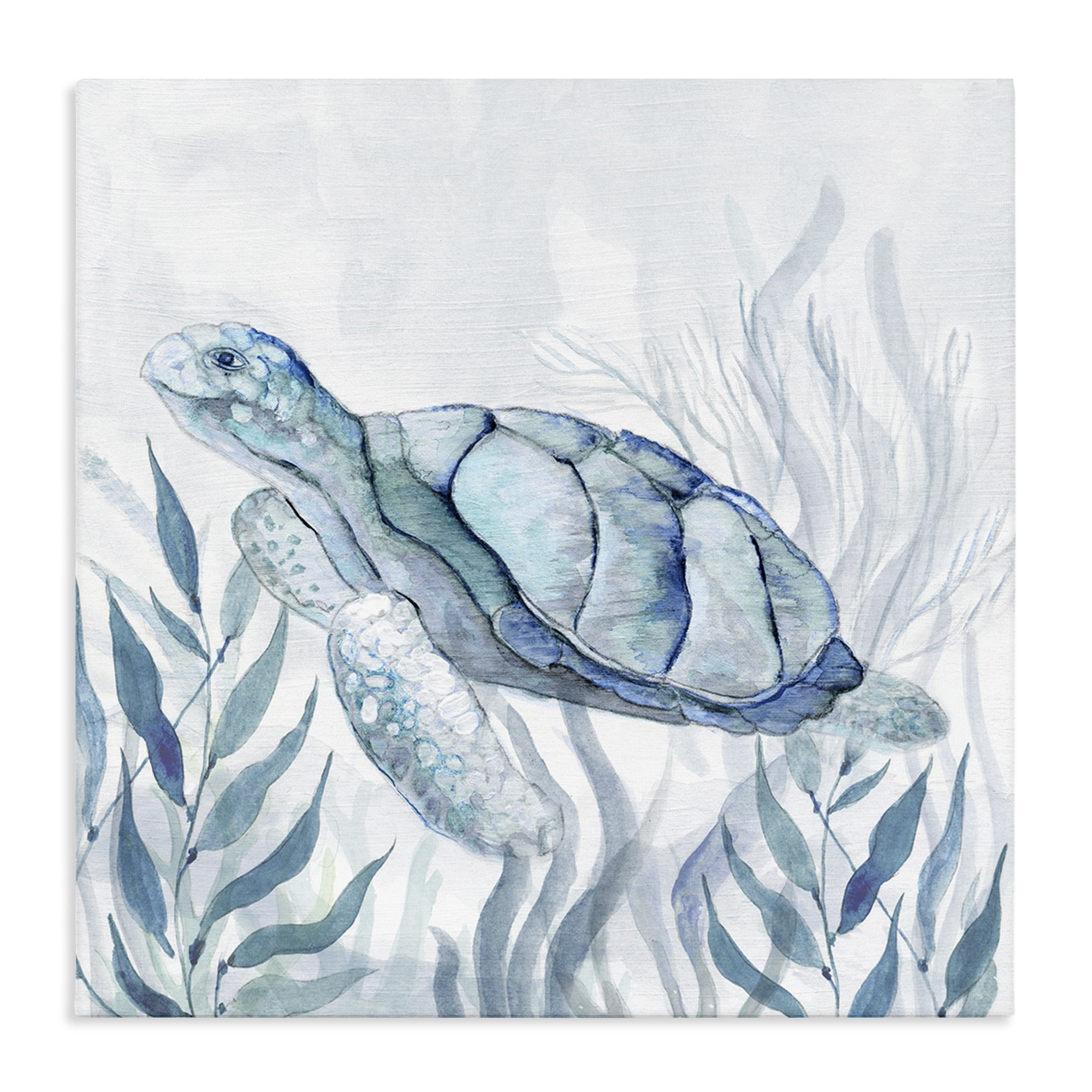 Stupell Industries Sea Turtle with Subtle Smile Canvas Wall Art, design by Janet Tava