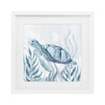 thumbnail image 1 of Stupell Industries Contemporary Sea Turtle with Subtle Smile White Framed Print Under Glass, 16 x 16, by Janet Tava, 1 of 8