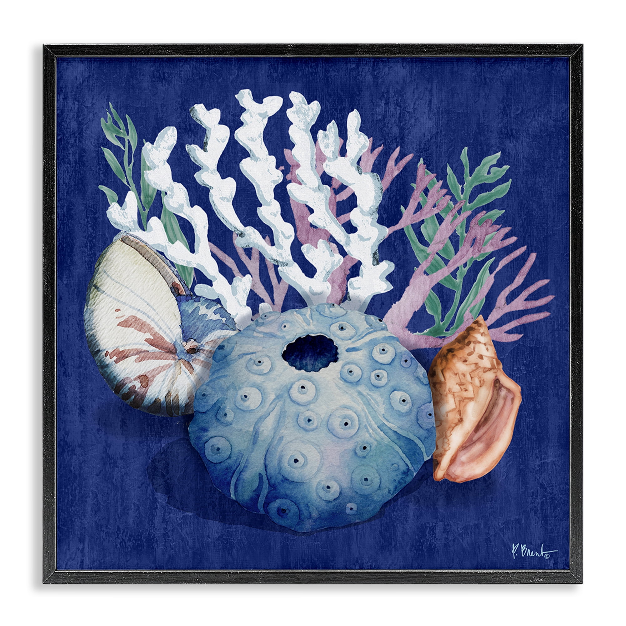 Stupell Industries Sea Urchin & Coral Coastal Painting Black Framed Art Print Wall Art, 17 x 17