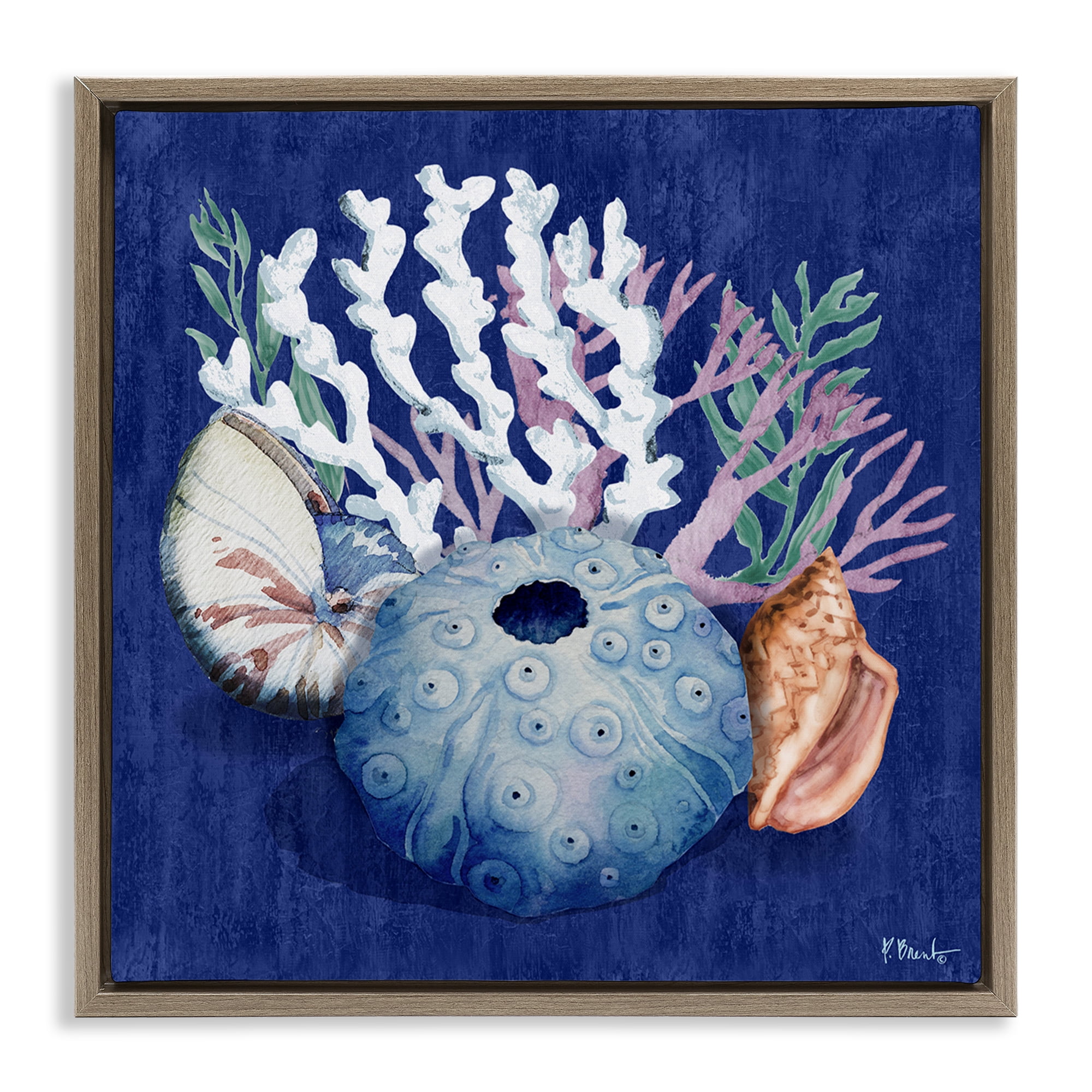 Stupell Industries Sea Urchin & Coral Coastal Painting Brown Floater Framed Canvas Art Print Wall Art, 18 x 18