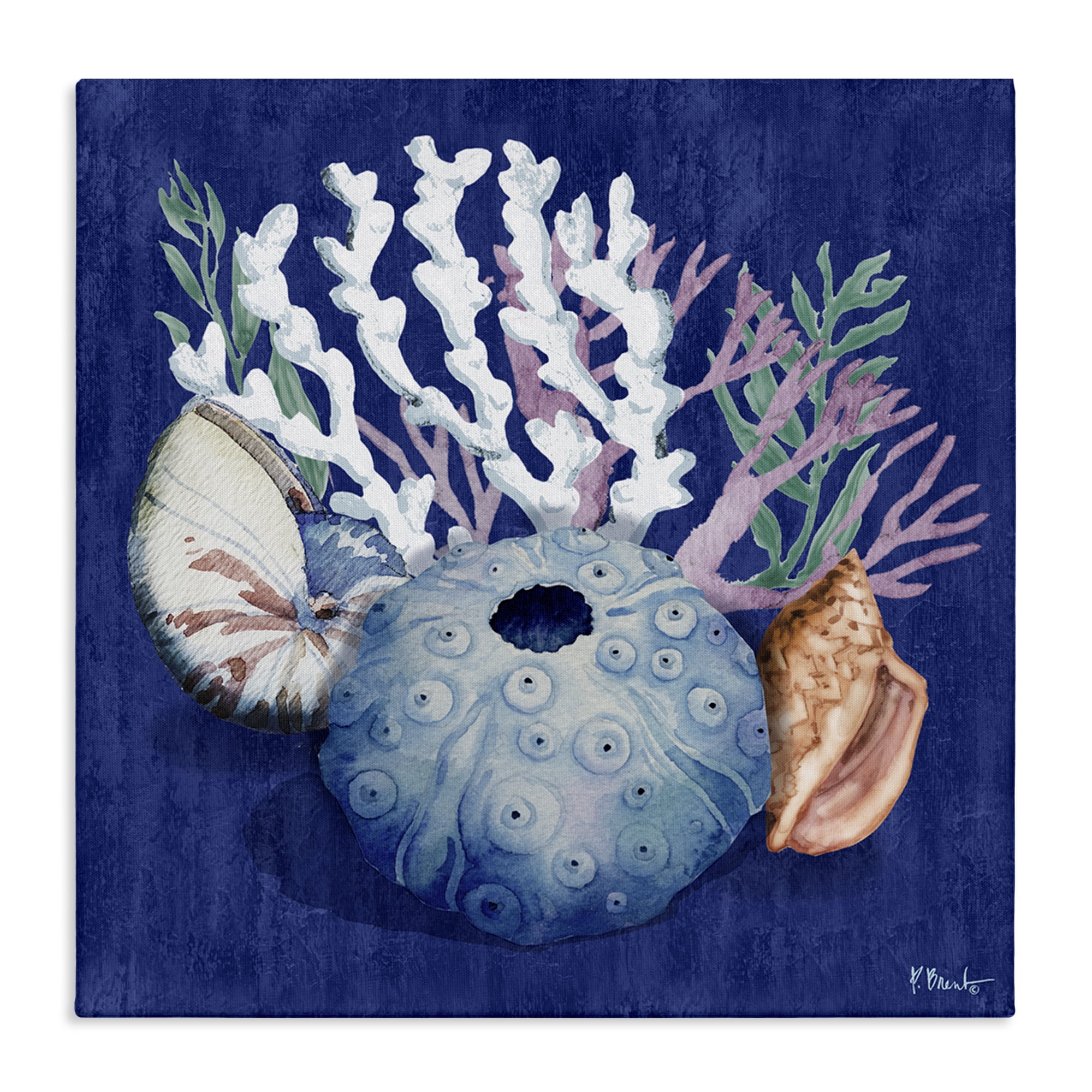 Stupell Industries Sea Urchin & Coral Coastal Painting Gallery Wrapped Canvas Art Print Wall Art, 17 x 17