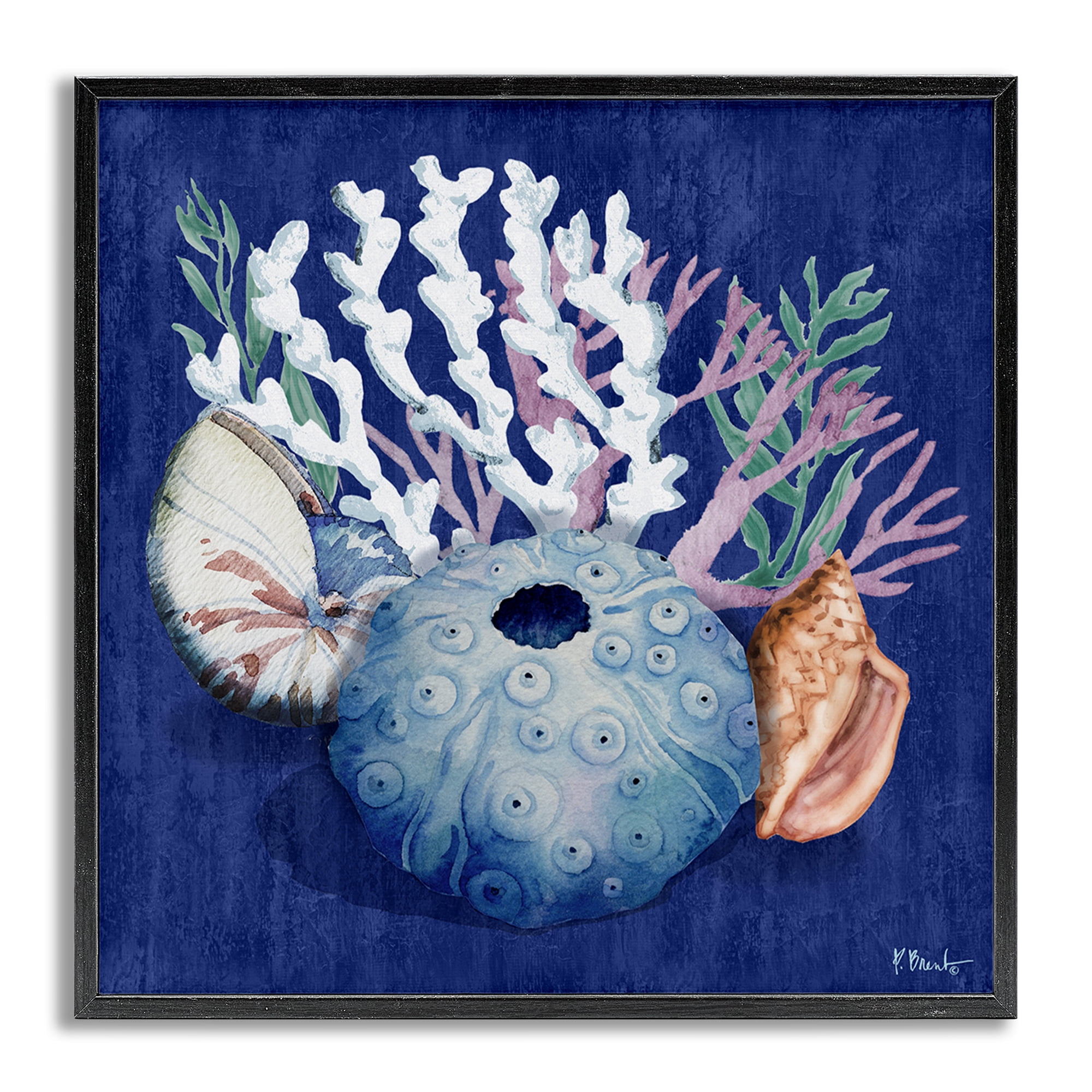 Stupell Industries Sea Urchin & Coral Coastal Painting Gray Framed Art Print Wall Art, 17 x 17